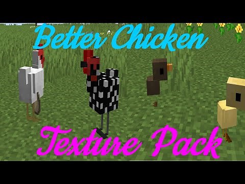 Better Chicken Minecraft Texture Pack!