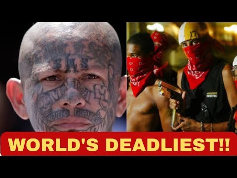 Top 10 Most Dangerous Gangs that control entire Countries