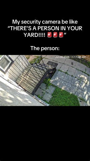 #security #securitycamera #intruder #tresspassing #fyp | security camera