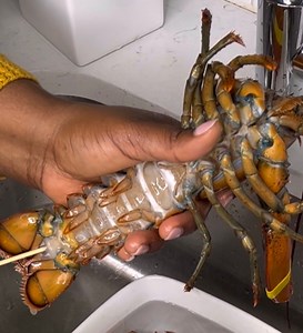 How to clean a lobster