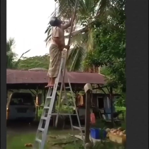 Ladder Fails 1