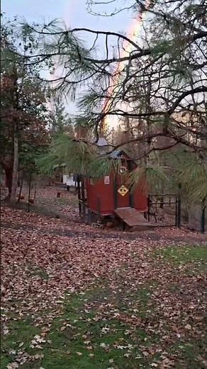 MOST VIVID RAINBOW OVER THE FARM