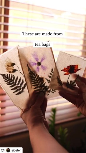 6.2K views · 209 reactions | A fun & easy way to reuse tea bags!  (video credit: sibster) #tea #craft #diy #nature | Root and Vine News | Facebook