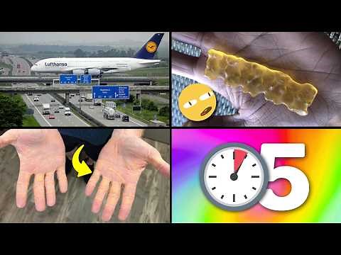 25 Things You Didn't Know in 5 Minutes!! ⏰😲 [233]