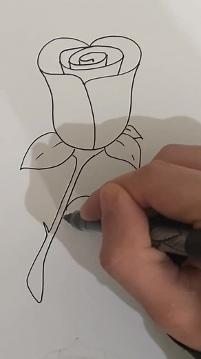 an #easy #drawing of #rose 🌹for beginners! subscribe for more!