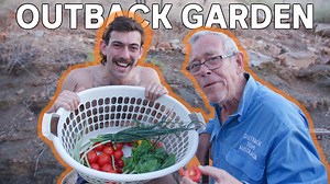 25K views · 692 reactions | | The Outback Australian Garden | This is the Outback Garden - made up of mostly recycled materials, and located in one of Australia's hottest regions, the Kimberley in Western Australia. Although the climate limits growing fruit and vegetables all year around, Outback Grandad has a great way of utilising the cooler months, to ensure we get a healthy batch of fruit and veg. | Outback Tom Australia | Facebook