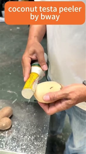 Save Time & Labor with Our Coconut Testa Peeler | Perfect for Processors