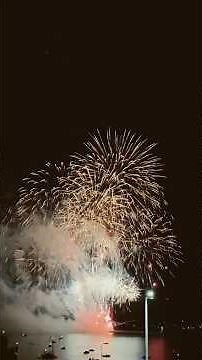 British Firework Championships 2025 : #1. Sonic Fireworks, from Devon🔥 13/08/2025 #fireworks #uk