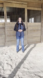 Part 2: Shelter in the Winter Adequate shelter in winter provides protection, for your horse, from wind and rain or snow. This can look like: ❄ a stall in a barn ❄ or, a 3-sided run-in shed large enough to accommodate all the horses housed together With the proper shelter, care, and nutrition, your horse will make it through these chilly months comfortably and be ready to get back to work when the weather allows. | Purina Horse
