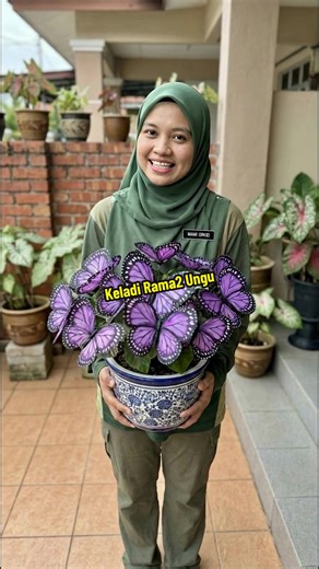 #caladium #plantlover #gardeningtips #indoorplants #plantcare