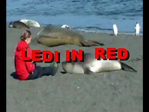 LEDI IN RED