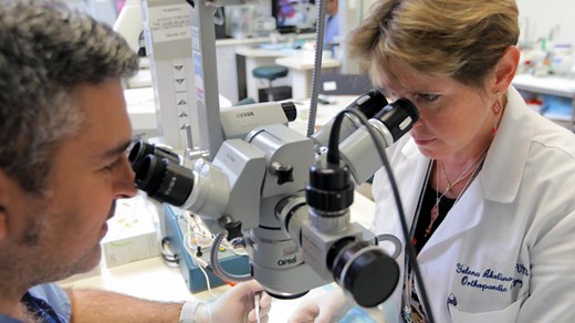 Microsurgery Training and Research Laboratory