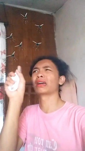 LAMOK🦟(ib:@hansdowel ) #fyp #fypシ #tiktokph #trending #viral