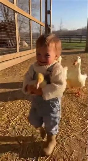 Kid Grabs a Duckling… Ducks Start Chasing 😂🦆 | Funny Farm #Shorts