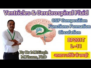 Ventricles | Cerebrospinal Fluid (CSF) | Human Anatomy & Physiology-II | BP201T | L~11