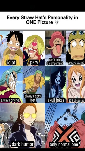 Every Straw Hat’s Personality in ONE Meme 😂💀 | One Piece