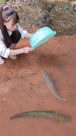 Wonderful fishing technique 🐟🎣😱 #catchoftheday #outdoorfishing #trendingshorts