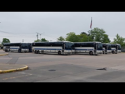 MTA NYCT Bus: Bus Action at Eltingville Transit Center (AM Rush Hour)