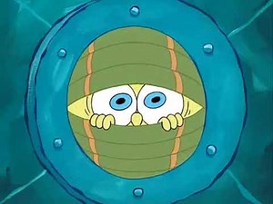 hello spongebob speaking! 🪼