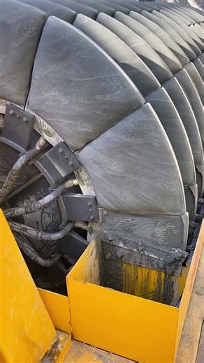 Addressing Dog Training Issues in Relationships