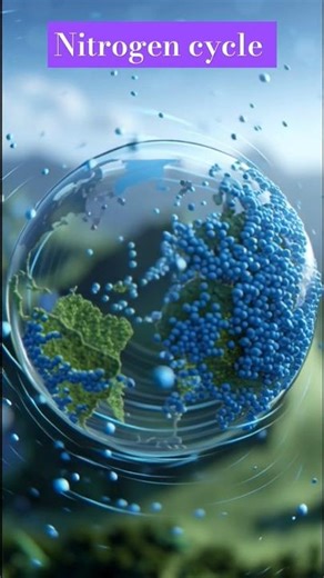 🌧️💧🌾 Nitrogen cycle | #shots | #ytshots |#edufactsworld