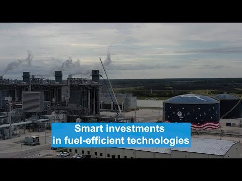 FPL Marks $1 Billion in Annual Customer Fuel Savings