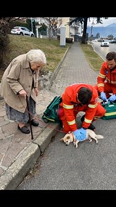 This dog means everything to her. Today, kindness showed up.” 🐶❤️ | Funny pets content