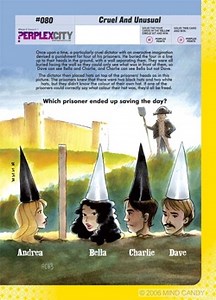 More on Perplex City