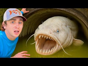 I Found a Hidden Tunnel FILLED with Rare Fish…
