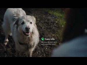 Rover. We Get Your Pet. Care Instructions :15 [Ad]