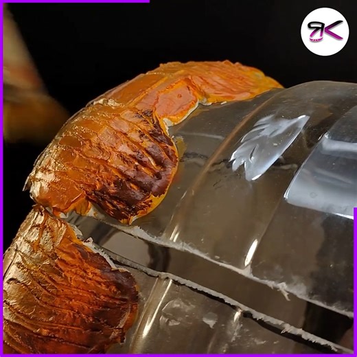 20K views · 188 reactions | Handcrafted Aquarium in a Wooden Barrel Design ✨ #diy #aquarium_ideas #fishes | RusticKraft | Facebook