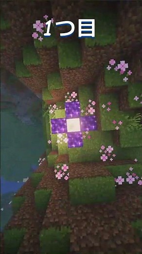 【マイクラ統合版&Java版】絶景シード値3選#minecraft#seedselection