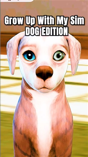 Grow Up with My Sim Pet: Dog Edition🐶| #sims4 #thesims4 #sims #shorts