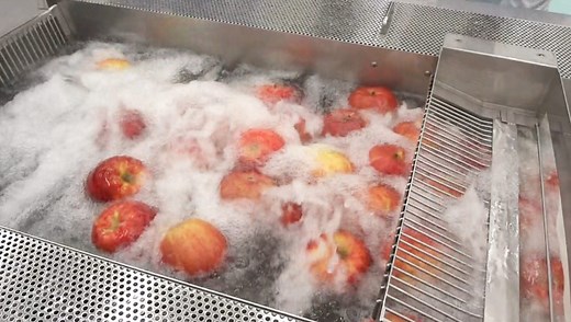 Food washing machine | Tiger Kawashima Co.,Ltd.