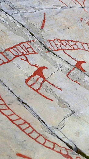 4.6K views · 239 reactions | Over 6,000 years old, the rock carvings...