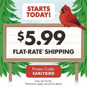 Calling all Dollar Tree shoppers! Take advantage of $5.99 flat-rate* shipping! Use code "EARLYBIRD" at checkout. https://bit.ly/3edz0x4 | Dollar Tree