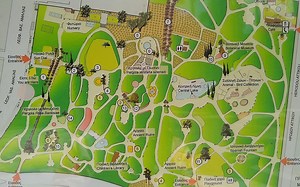 Myths & Medicine: Plant Walk in the National Garden with The Greek Herbalist - The National Herald