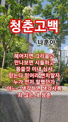 청춘고백 #나훈아#남인수#트로트#1955남인수ㆍ최고인기애창곡