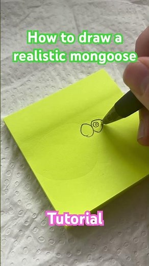Art lesson : ￼How to draw a realistic mongoose tutorial ￼