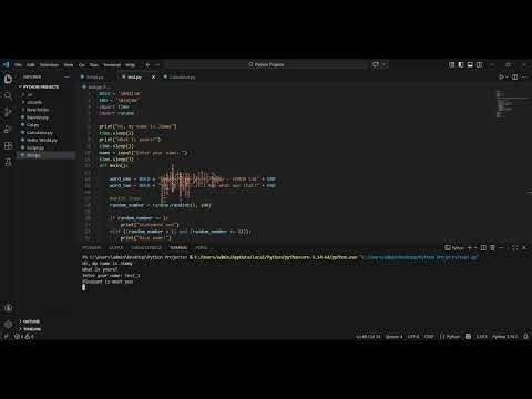 Python project I'm making