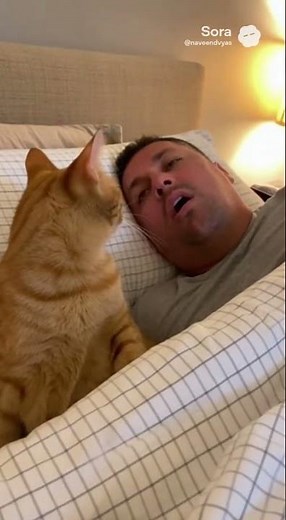 Man Snores TOO Loud… So His Cat SLAPS Him Awake 😂🐱💥 | Funniest Pet Video!