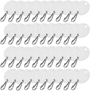 Lucky Line Oval Cabinet Key Tag with Hook, White, 100 Blank Tags (25890)
