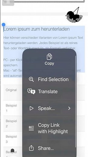 iPhone Safari – Translate Text Instantly