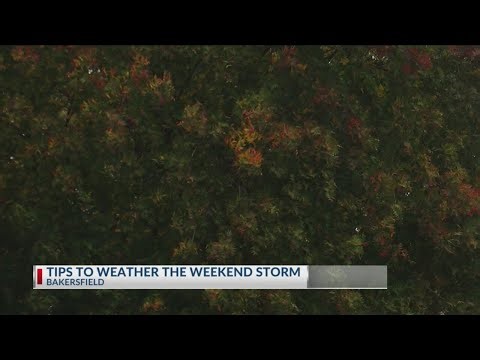 Tips to weather the storm