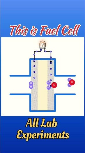 How a Fuel Cell Works? #physics #fuelcell #sachinsir
