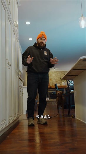 Set This Boundary With Your Dog