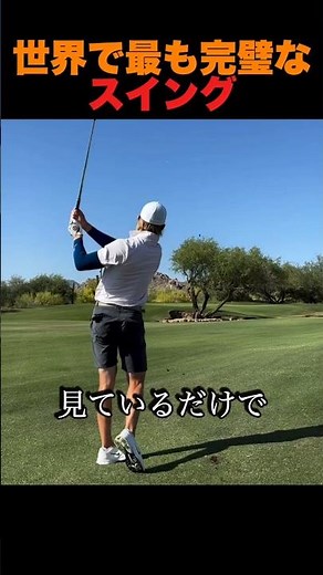 世界で最も完璧なスイング