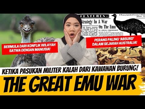 KETIKA PASUKAN MILITER KALAH DENGAN KAWANAN BURUNG! THE GREAT EMU WAR