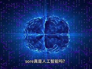 为什么都在鼓吹sore