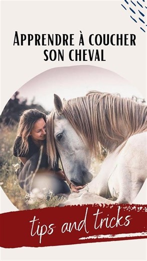 Anne-Gaelle Bertho - HORSE SHOW on Instagram: "⚜️ Apprendre le coucher à son cheval ⚜️ On m’a beaucoup demandés ce genre de vidéo, et j’ai essayé d’en faire une sur le coucher et ma méthode d’apprentissage ! Ça tombait très bien puisque Jedi qui est avec moi depuis 1 mois et demi ne savait pas le faire. Il est arrivé sans aucune base de travail à pied et nous avons travaillé jusqu’à ce qu’il soit prêt pour se coucher 🤗 Si vous avez envie d’apprendre les bases et d’améliorer votre relation avec 